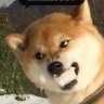 Profilbild von lxy