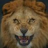 elfelinofelix's profile picture
