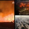 【ロサンゼルス山火事】アメリカ人の半分がトランプ忌み嫌ってるFACT 的头像