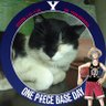 Seven of Data ★子 🏴☠💜 profil fotoğrafı