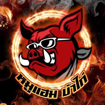 หมูแฮมบ้าไก่'s profile picture