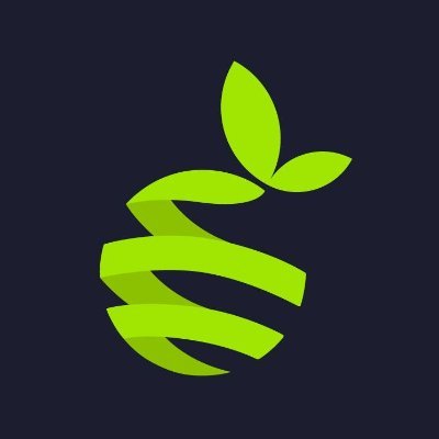 LemonnHQ's profile picture