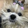 ปอจ๋าาา's profile picture