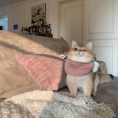 _AngelHera's profile picture