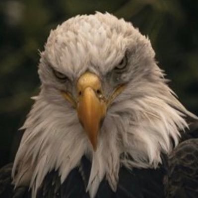 AthenaMia2nd's profile picture