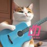 🐈ねここあ🥟🤍 profil fotoğrafı