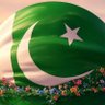دیدہ ور's profile picture