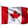 Profilbild von Canadian Forever 🟧🇺🇦