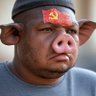 尘埃 profil fotoğrafı