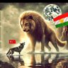 bave yahya profil fotoğrafı