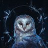 Tulu the owl 🌙's profile picture