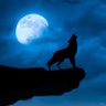 Profilbild von moonvillage