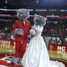 Mr. Wuf’s Burner's profile picture