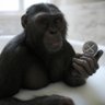 Terry profil fotoğrafı
