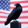 Timothy Williams's profile picture
