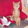 Profilbild von Arciere