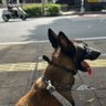 oeyster 的头像