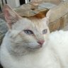 Trevør profil fotoğrafı