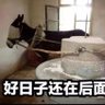Фото профиля 布什戈门🦟