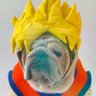 Great SaiyaDAWG profil fotoğrafı