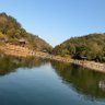 街灯 profil fotoğrafı