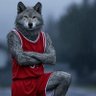 Profilbild von Rain Drops (AKA Oregon Lobo)