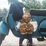 Ade Hasibuan profil fotoğrafı