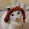 mariane's profile picture