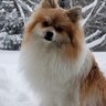 EARTH PROJECT's profile picture