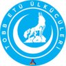 TOBB Ülkücüleri 的头像