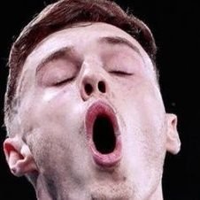 shaseihukkatsu's profile picture
