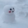 Ju＠北海道民🇯🇵 的头像