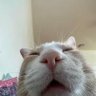 jhgon's profile picture