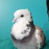 J.T's profile picture