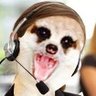 Telefonista do toma-toma profil fotoğrafı