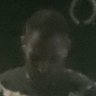 Max Ant's profile picture