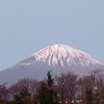 Фото профиля てつ吉