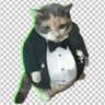 Profilbild von Clooudy