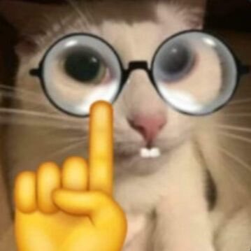 재필(JP)'s profile picture