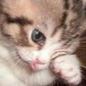 Фото профиля Guby Labios・。∴。* ・゚*。・