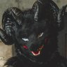 Profilbild von BUZZED / バズド 🔜 Fur:raid