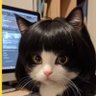 Profilbild von 令和ブルーオーシャン