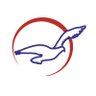 Air Peace's profile picture