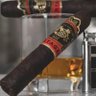 Cigar101 的头像