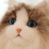 たけしTakeshi's profile picture