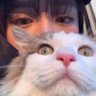 戏猫人 的头像