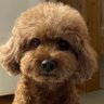 너는나의행복's profile picture