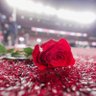 trust n believe's profile picture