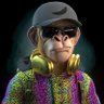 Wister's profile picture