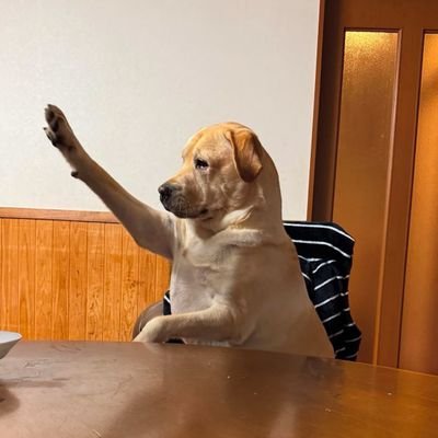 VloneMulei's profile picture